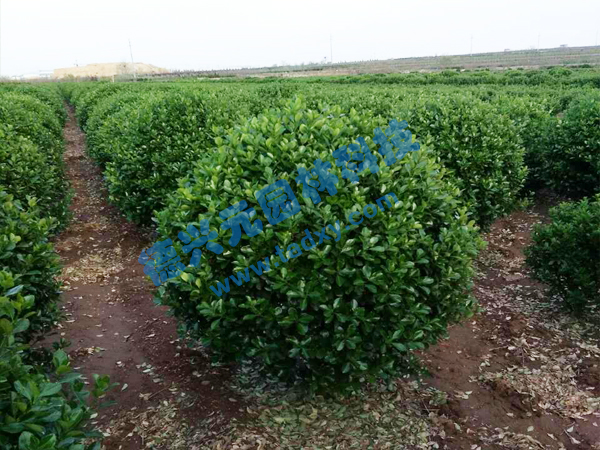 �c���鿴Ԕ����Ϣ���}�����~�S���� ��x�Δ���2629