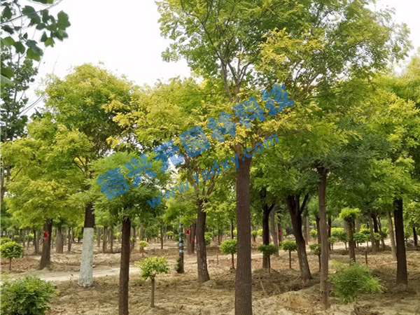 �c���鿴Ԕ����Ϣ���}�����~�� ��x�Δ���2389